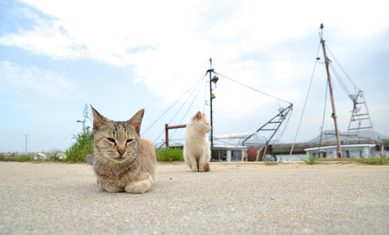 猫島、香川県にある男木島に行ってきた