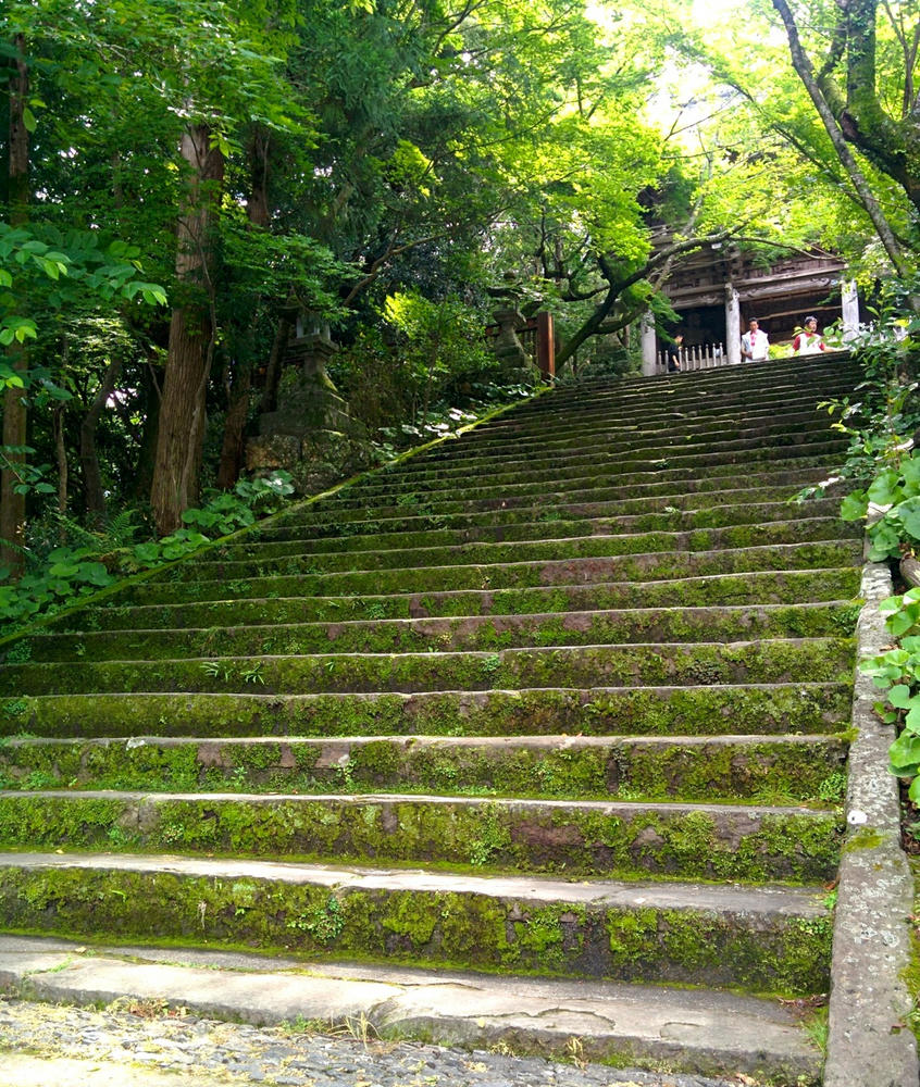 高知県竹林寺