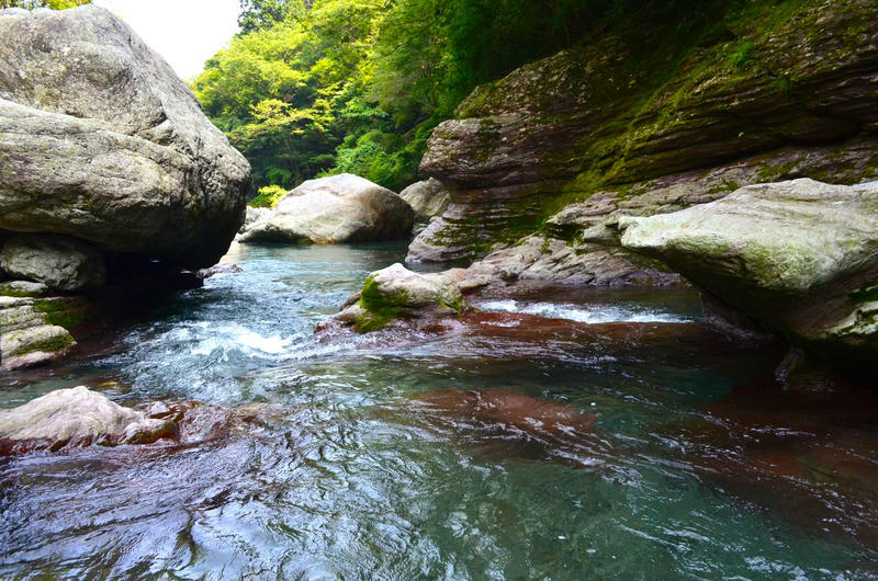 高知県中津渓谷に川遊びに行ったら苔フェチになりそう